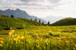 Urner Berglandschaft mit Sicht auf Bergkulisse, Heidmannegg